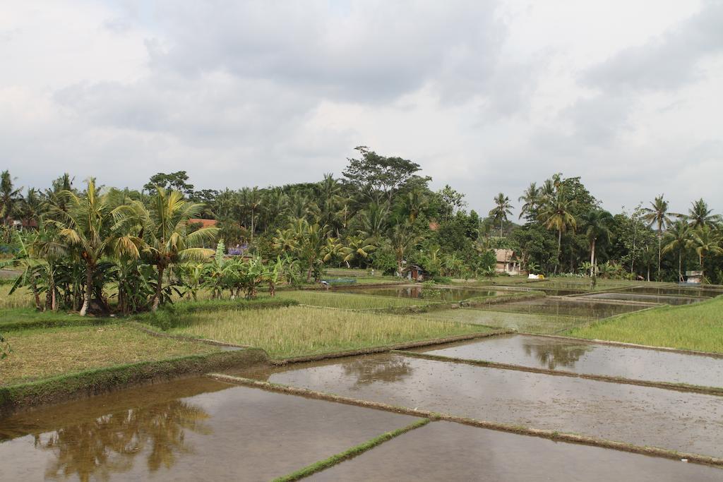 Villa Kami Ubud Exterior photo